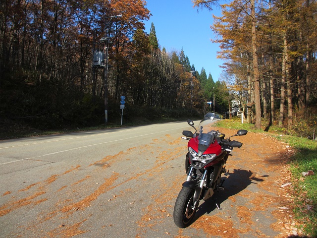 VFR800X 紅葉のせせらぎ街道方面へツーリング