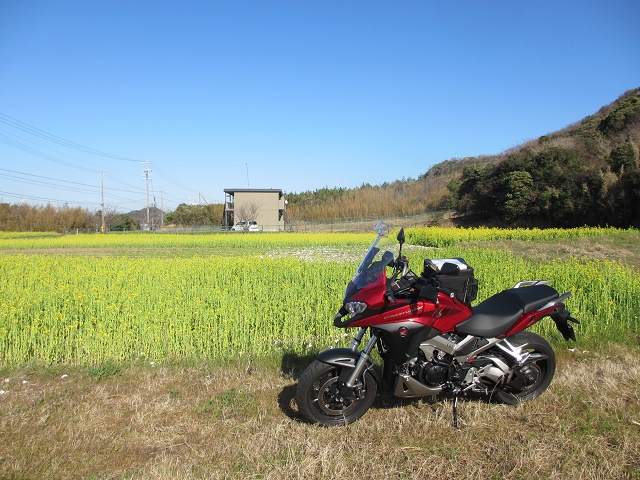 VFR800X 渥美半島へ