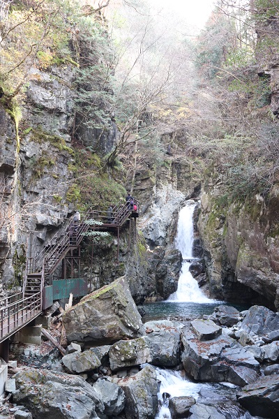 温泉旅行