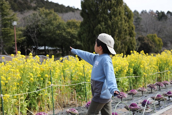 春日井の植物園