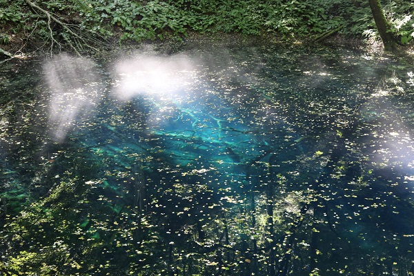 青森・秋田ツアー