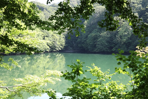 青森・秋田ツアー