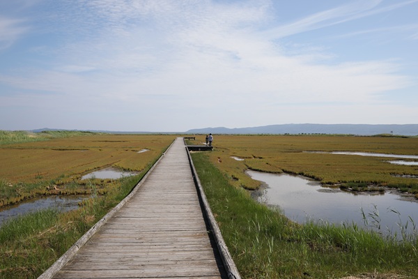 北海道旅行 能取崎