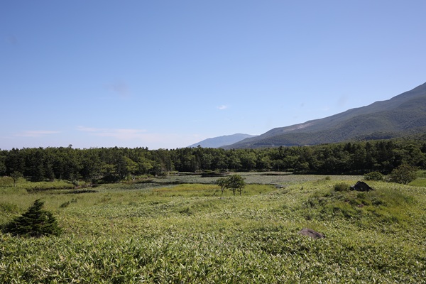北海道旅行 知床五胡