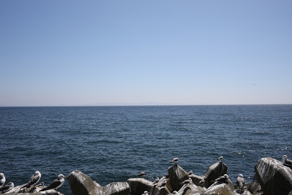北海道旅行 羅臼