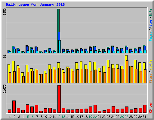 Daily usage for January 2013