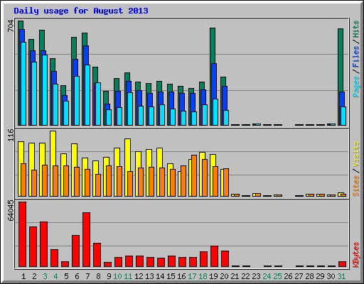 Daily usage for August 2013