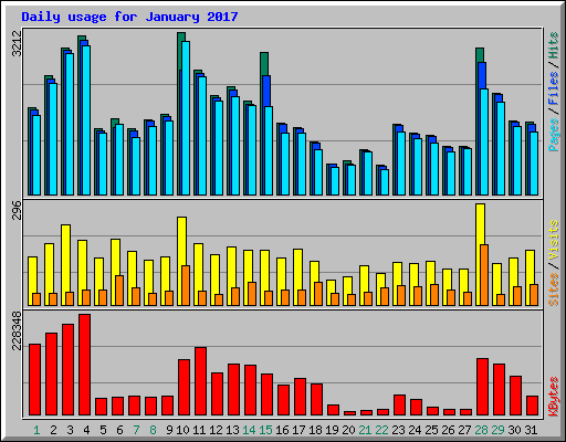 Daily usage for January 2017