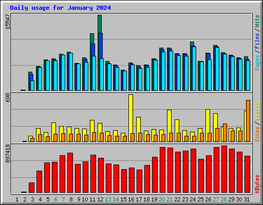 Daily usage for January 2024