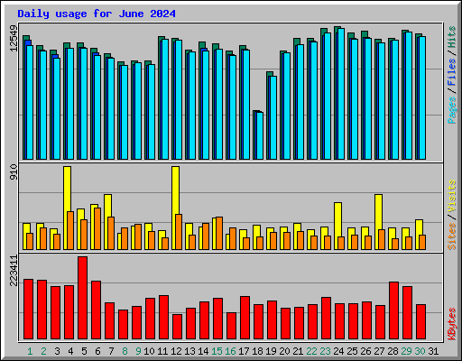 Daily usage for June 2024