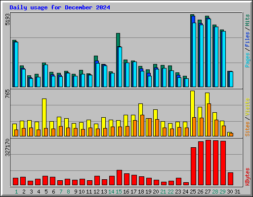 Daily usage for December 2024