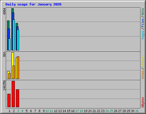 Daily usage for January 2026