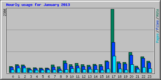 Hourly usage for January 2013