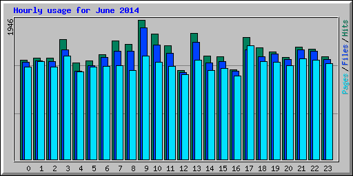 Hourly usage for June 2014