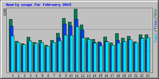 Hourly usage for February 2015