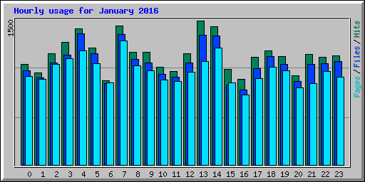 Hourly usage for January 2016