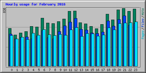 Hourly usage for February 2016