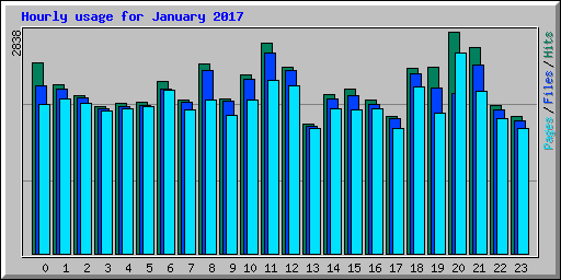 Hourly usage for January 2017