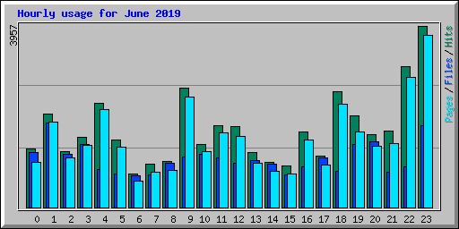 Hourly usage for June 2019