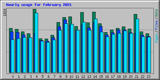 Hourly usage for February 2021