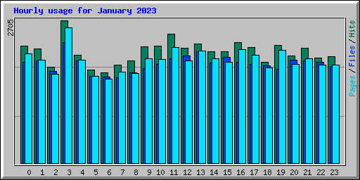 Hourly usage for January 2023