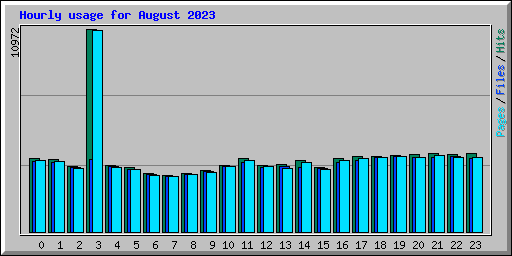 Hourly usage for August 2023