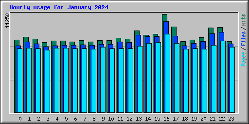 Hourly usage for January 2024