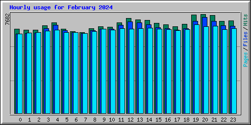 Hourly usage for February 2024