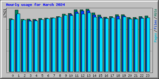 Hourly usage for March 2024