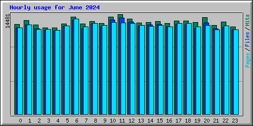 Hourly usage for June 2024