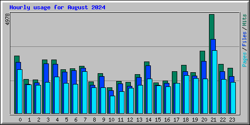 Hourly usage for August 2024