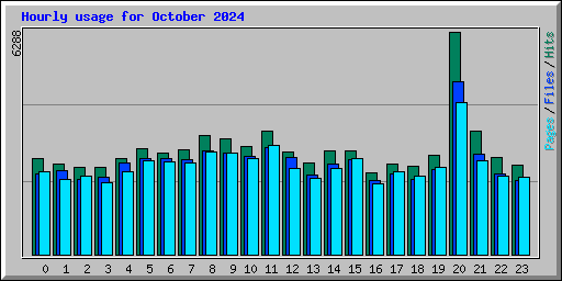 Hourly usage for October 2024