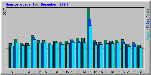 Hourly usage for December 2024