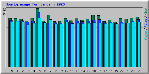 Hourly usage for January 2025