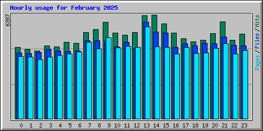 Hourly usage for February 2025