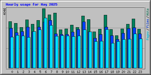 Hourly usage for May 2025