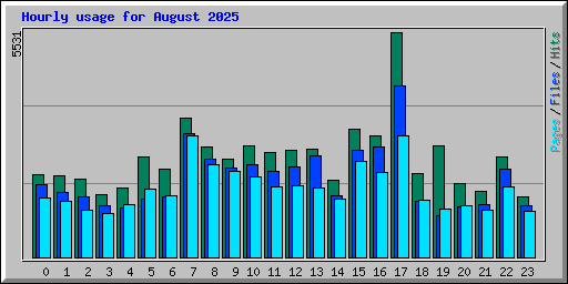 Hourly usage for August 2025