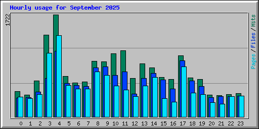Hourly usage for September 2025