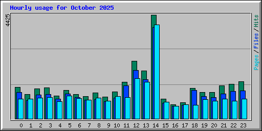 Hourly usage for October 2025