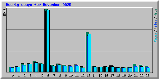 Hourly usage for November 2025
