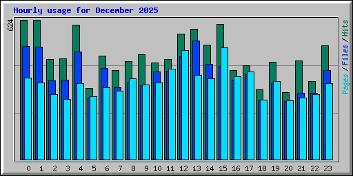 Hourly usage for December 2025