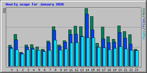 Hourly usage for January 2026