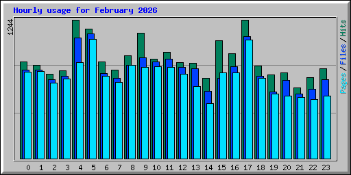 Hourly usage for February 2026