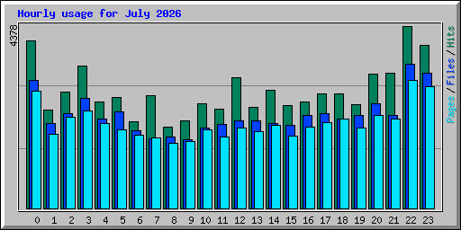 Hourly usage for July 2026