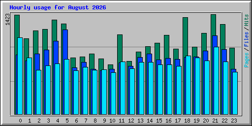 Hourly usage for August 2026